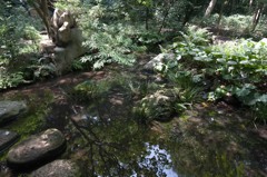六義園にて