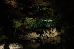 六義園ライトアップ