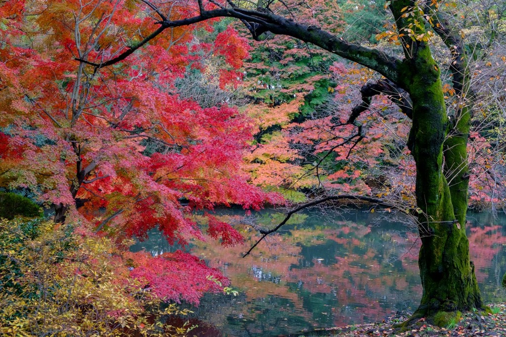DSCF3935