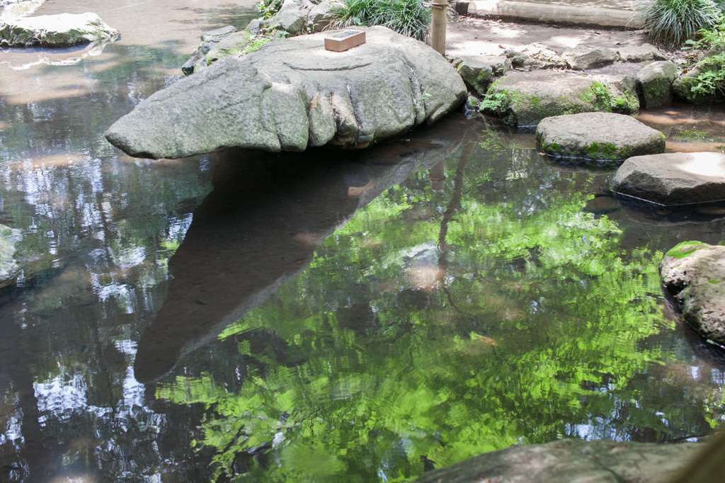 六義園にて、Canon5Dその２