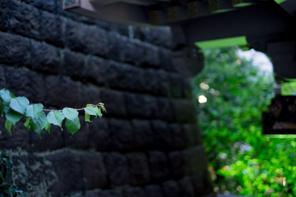 湯島天神