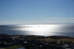 霞ヶ浦ふれあいランドにて