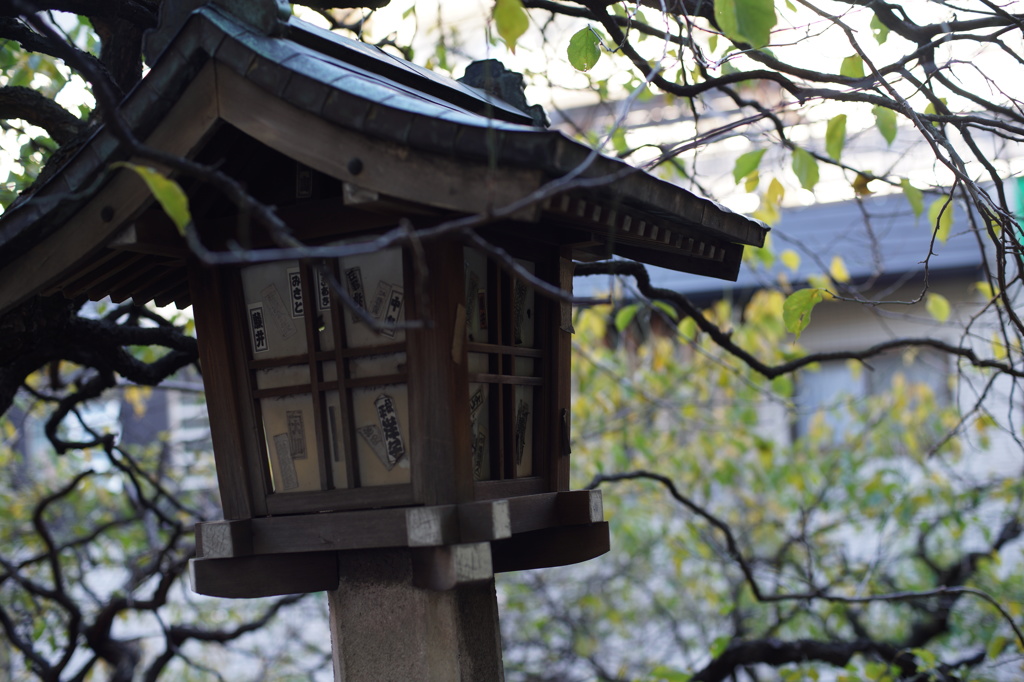 α７での試し撮り２