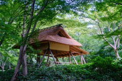 夏の終わり