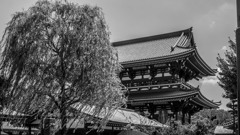 浅草寺にて