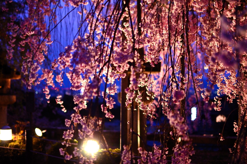 京都　清水寺