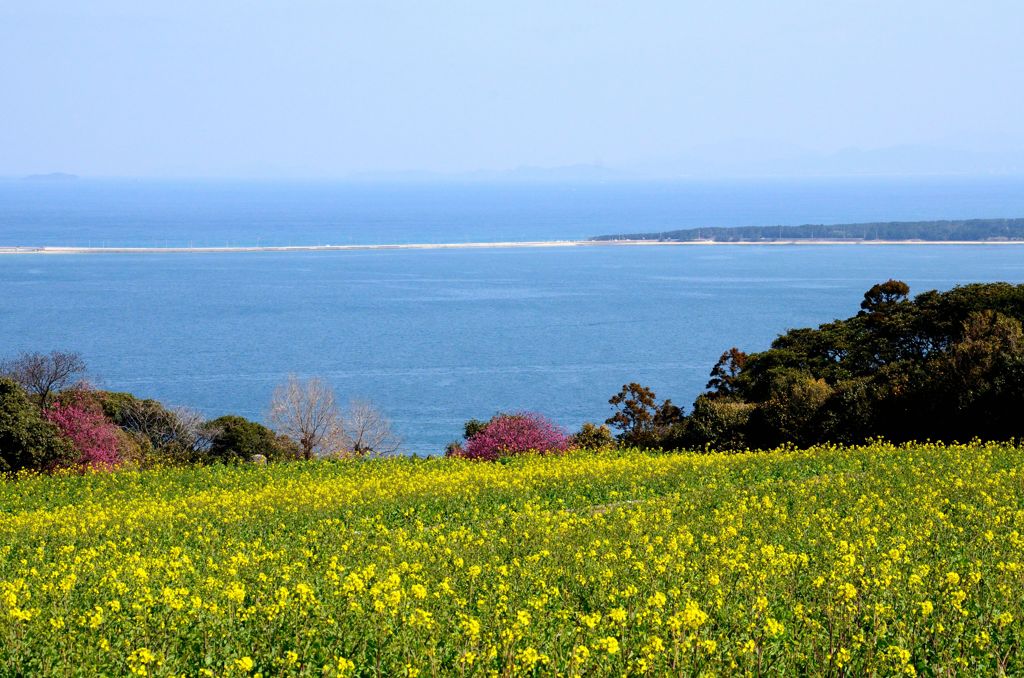 能古島