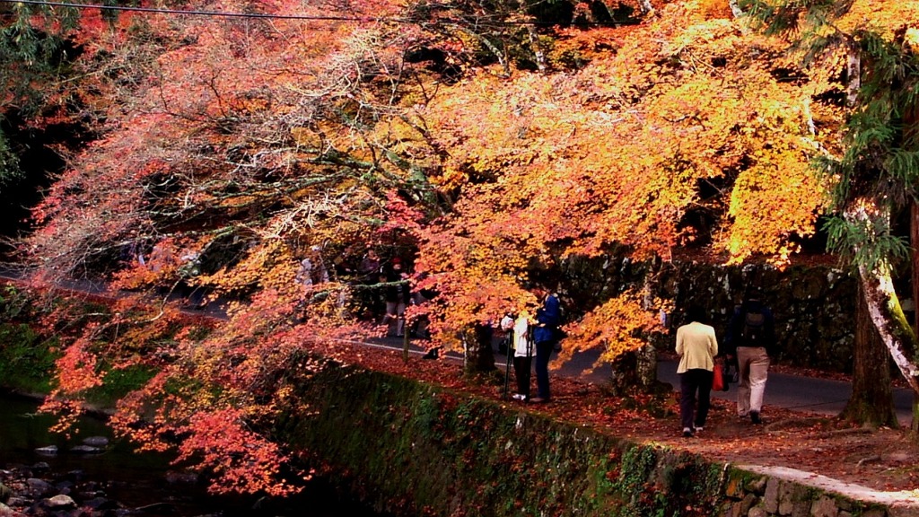 仏通寺の紅葉