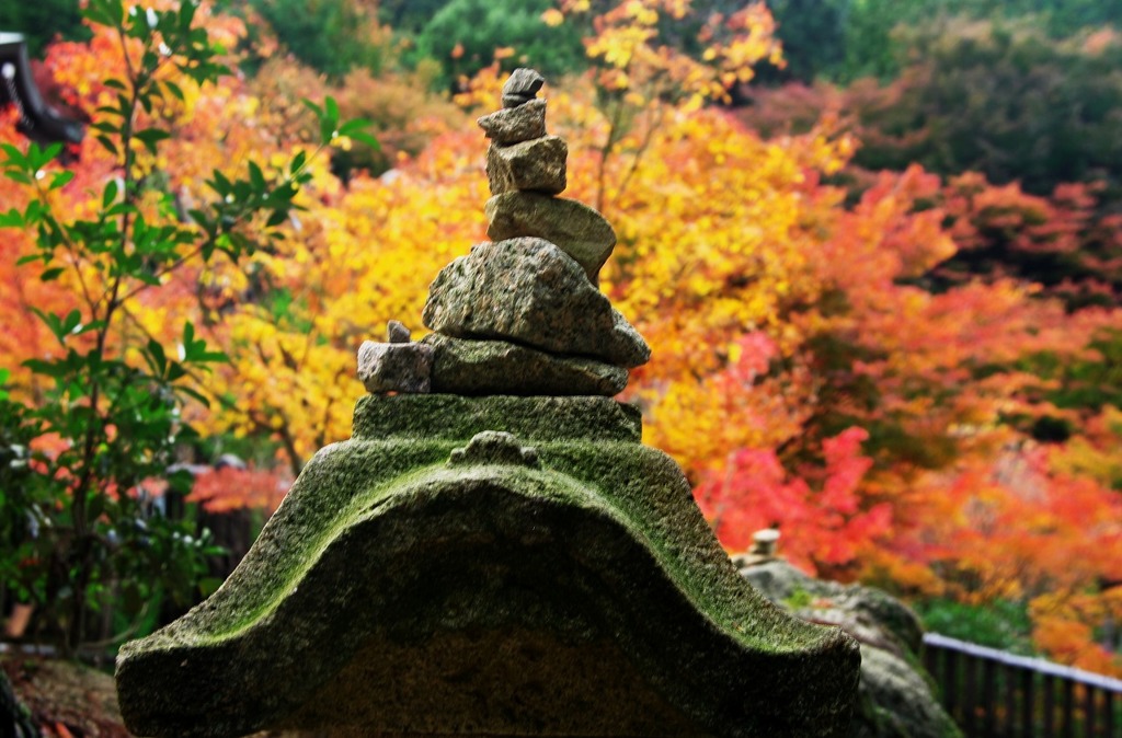 大照院の紅葉