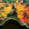 大照院の紅葉
