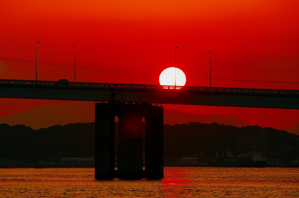 夕陽に照らされて