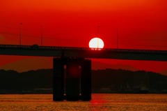 夕陽に照らされて