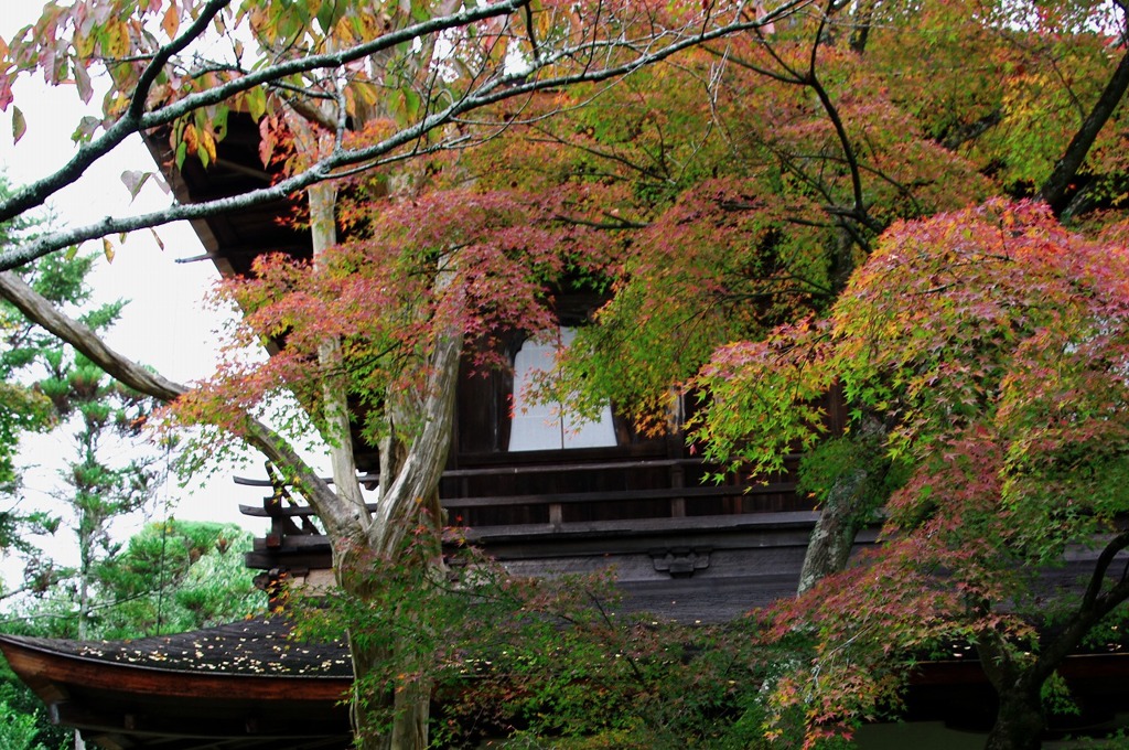 銀閣寺