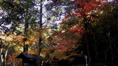 仏通寺の紅葉