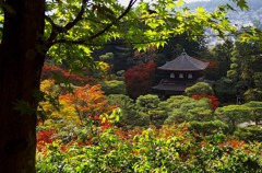 銀閣寺