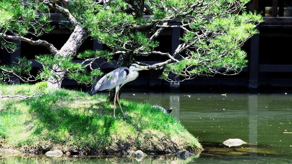 庭園