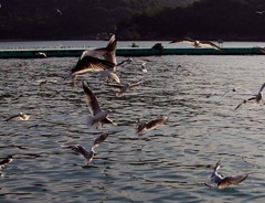 鞆の浦