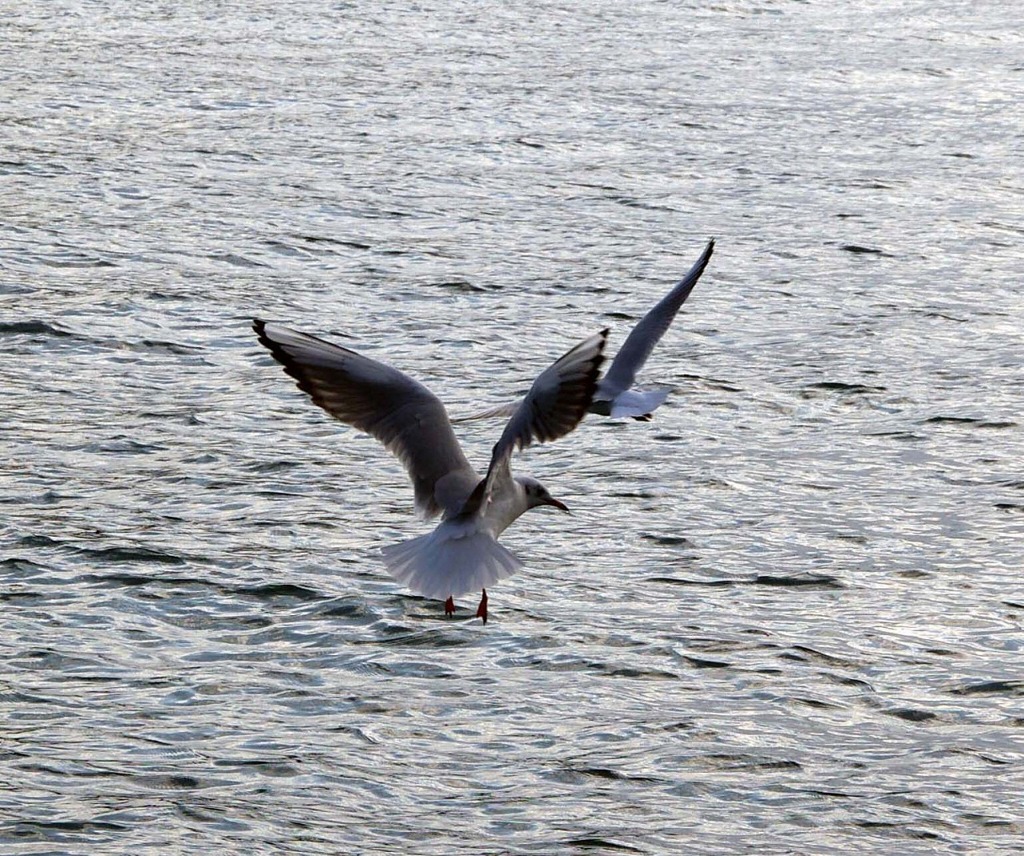 鞆の浦
