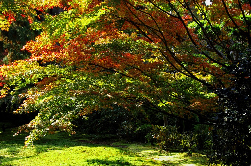 大原三千院