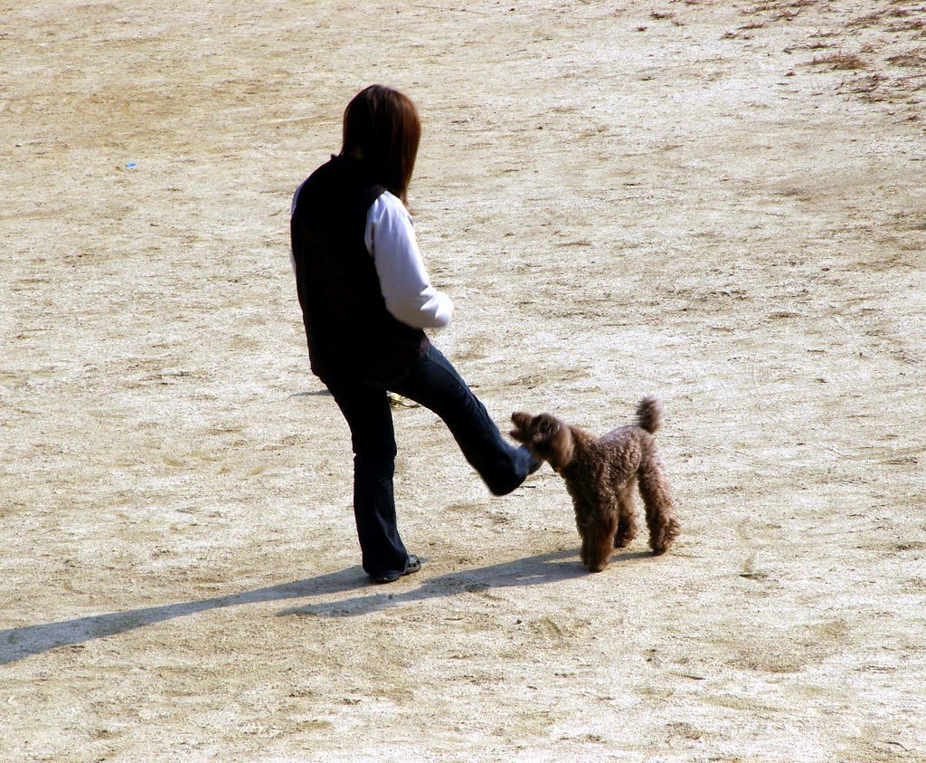 調教師