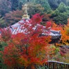 大照院の紅葉