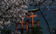 宮島鳥居