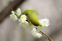 気にしない
