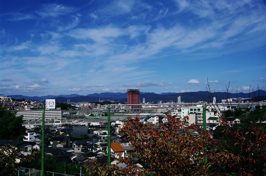 秋の雲