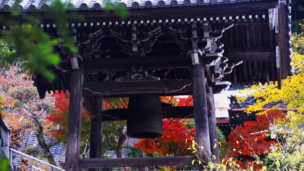 大照院の裏側