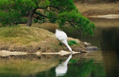 一息しょう