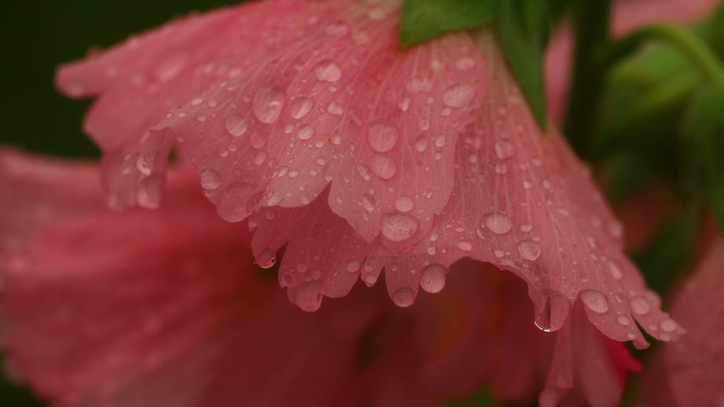 雨カッパ