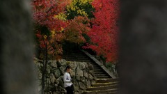 大照院の紅葉