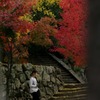 大照院の紅葉