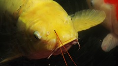 くすぐったいね