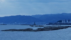 宮島口のカキ筏