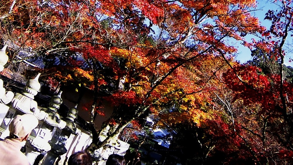 仏通寺の紅葉