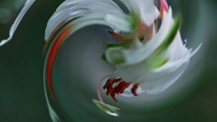 幽玄