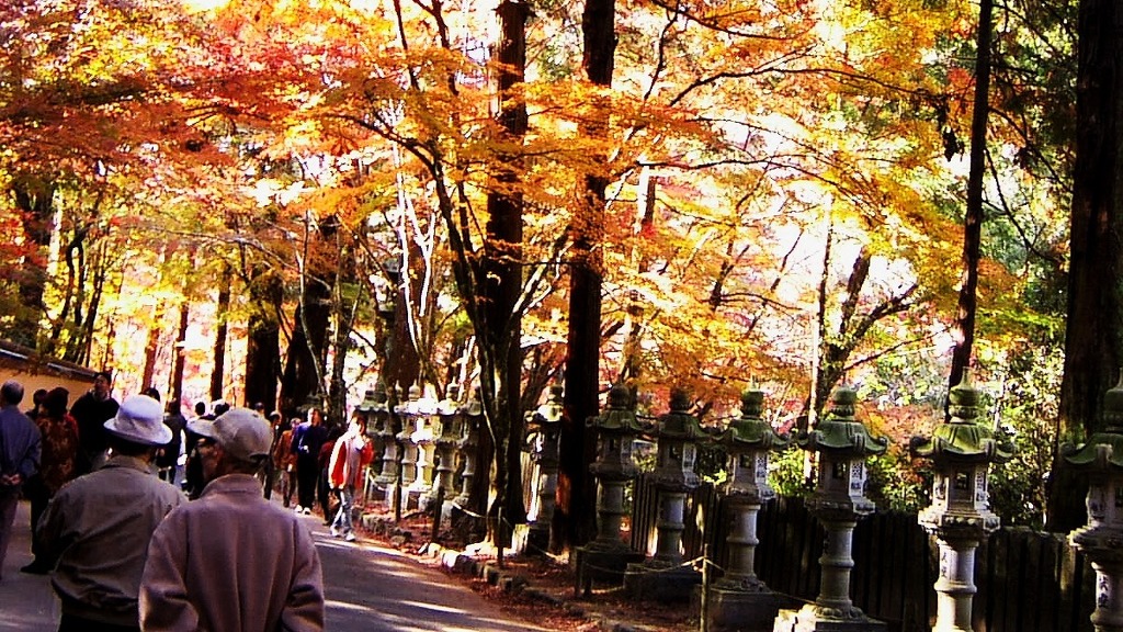 仏通寺の紅葉