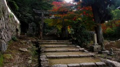 大照院の裏側