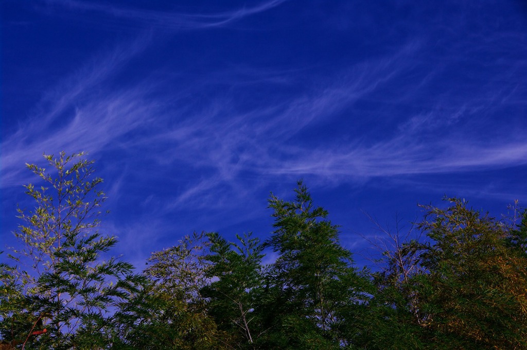 秋の雲