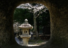 向うに