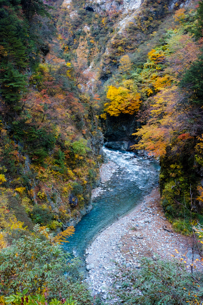 River & Autumn color