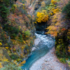 River & Autumn color