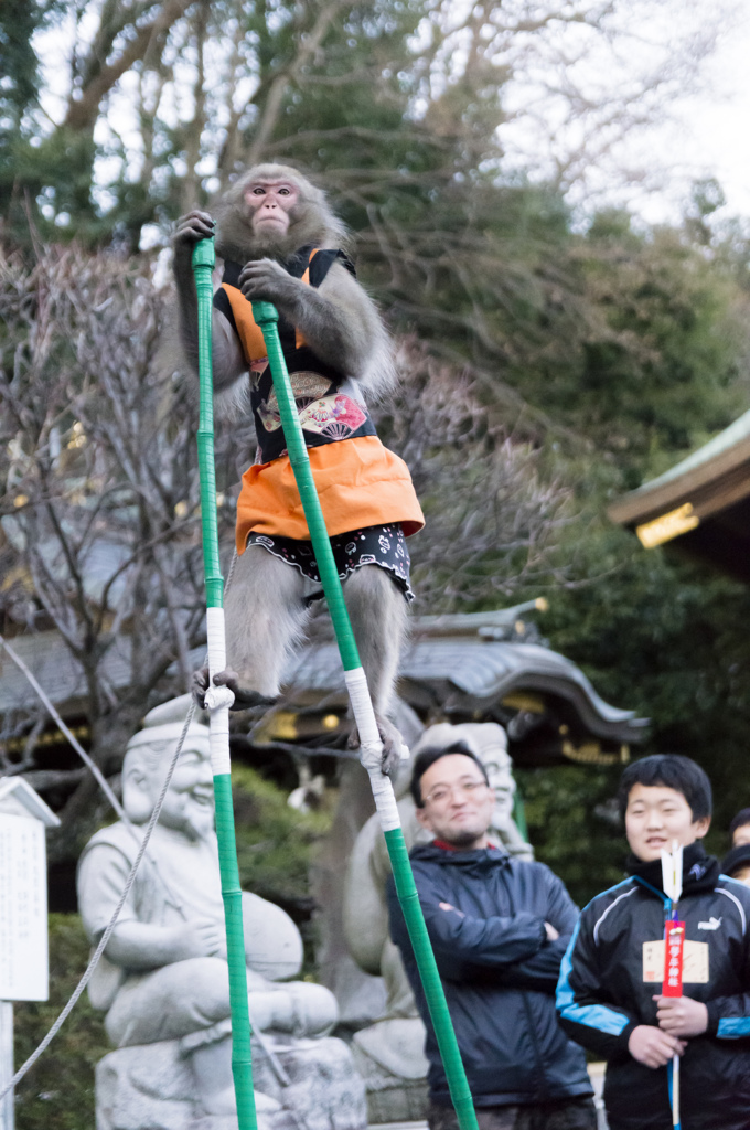 お猿の竹馬