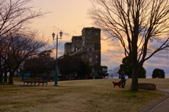 根岸森林公園