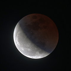 Lunar Eclipse 2014 #2 ～ 3colors rabit