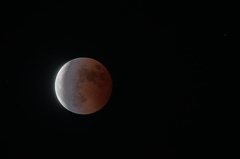 Lunar Eclipse 2014 ～ ターコイズフリンジ