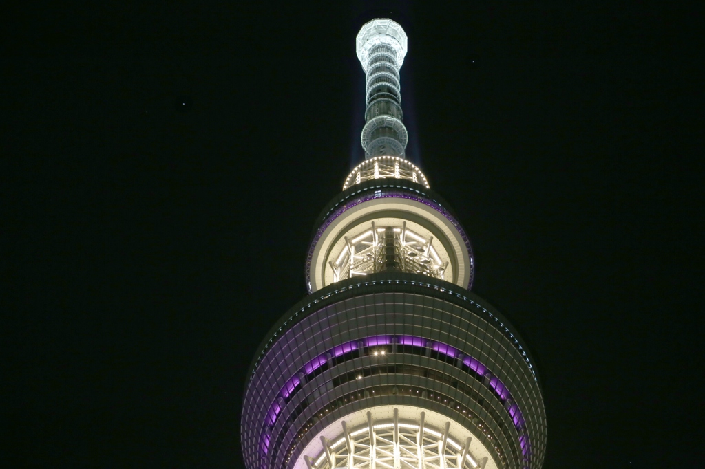 まるで宇宙船みたいな