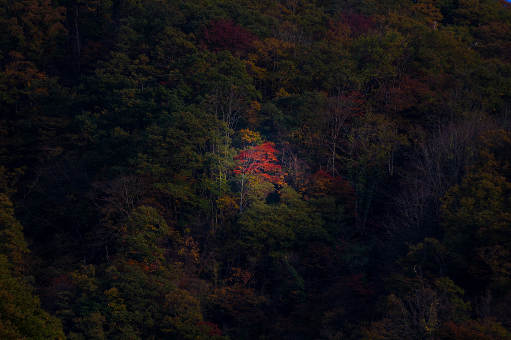 山の秋