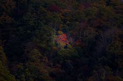 山の秋